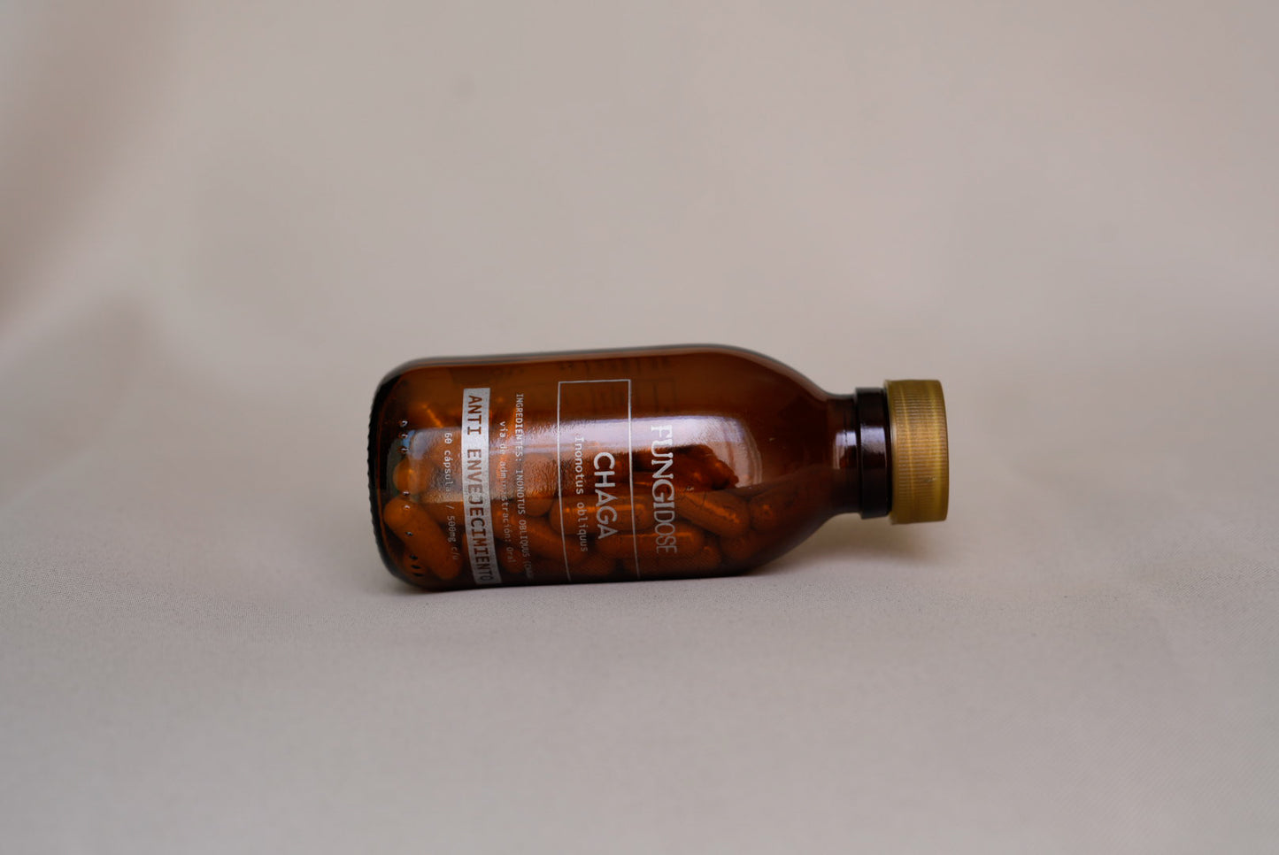 CHAGA INOTUS OBLIQUUS